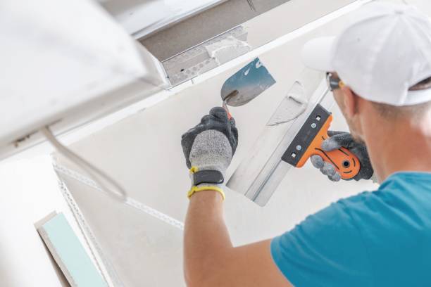 Best Mold Removal for HVAC Installations  in Jeffersontown, KY